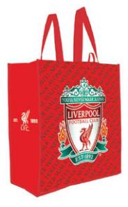 Laminated Non-Woven PP,  large shopping tote